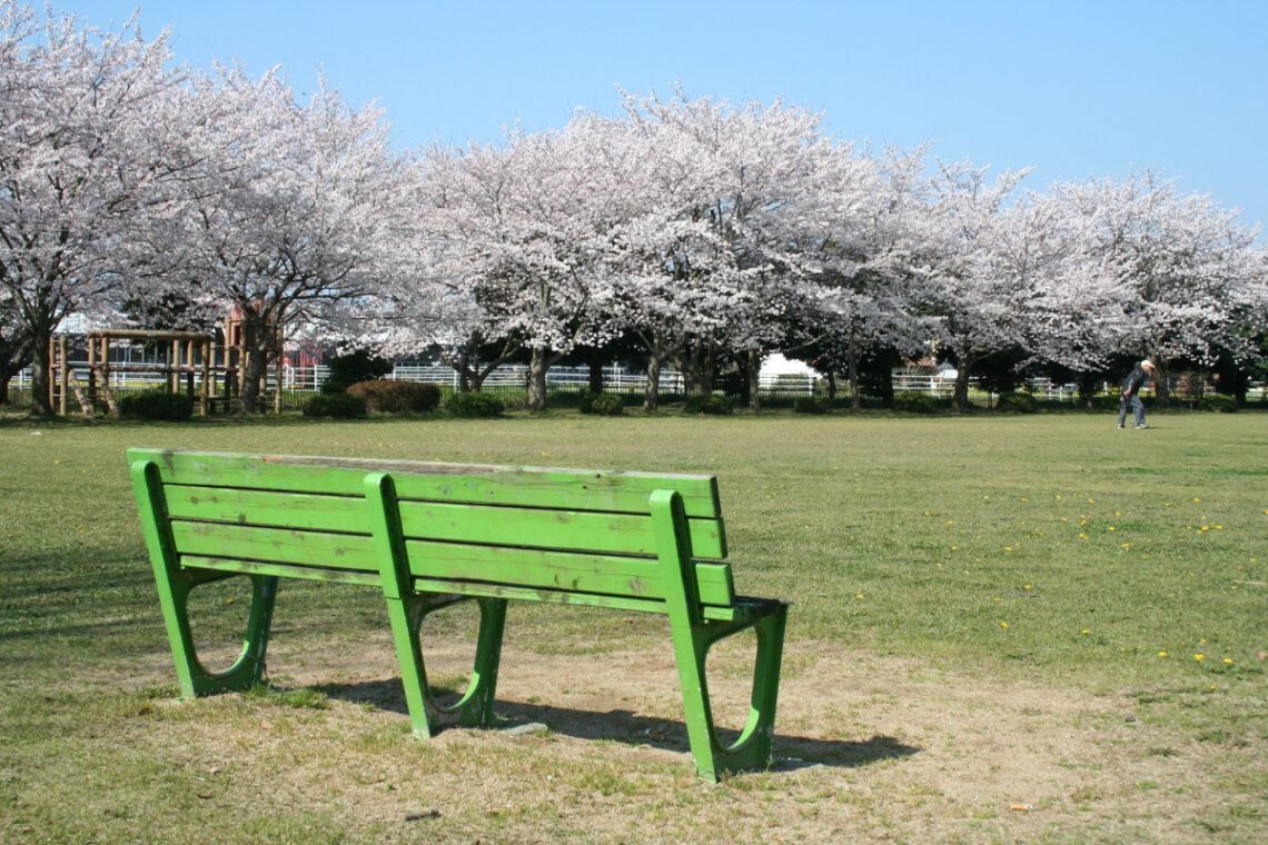 北郷公園の桜